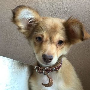 Meet your Posher, Jocelyn